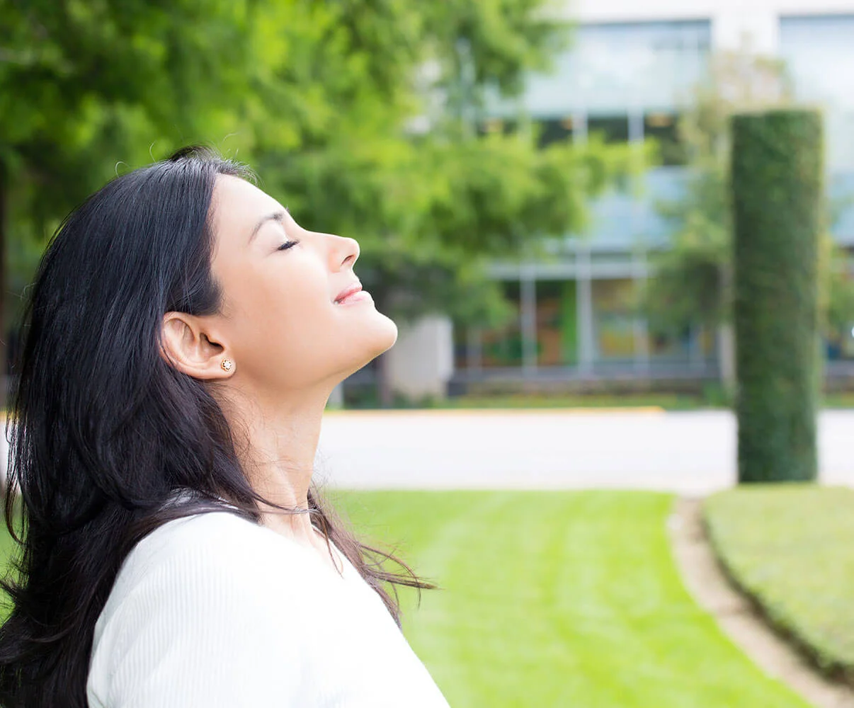 14 Eco-Friendly Natural Mosquito Repellents