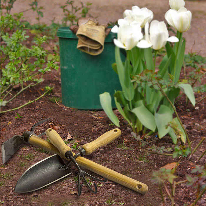 Find eco-friendly gardening tools