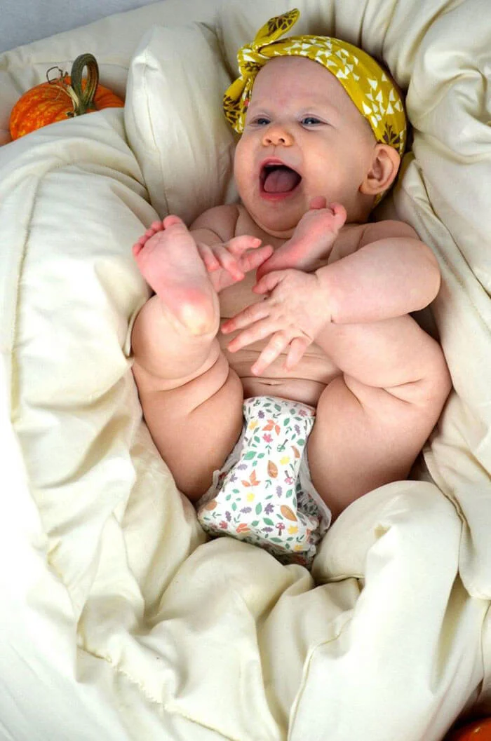 Nest Bedding Washable Wool Comforter