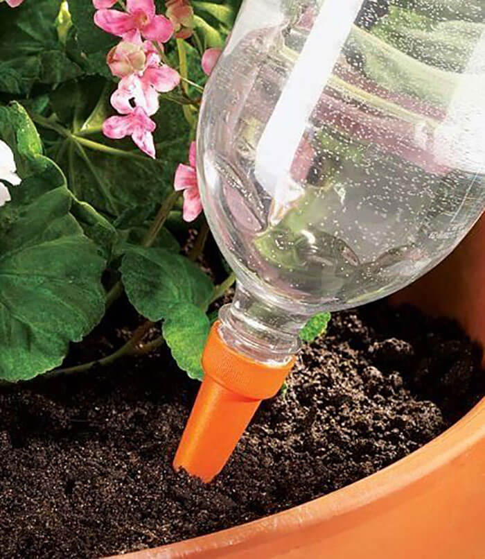 2L Plastic Soda Bottles