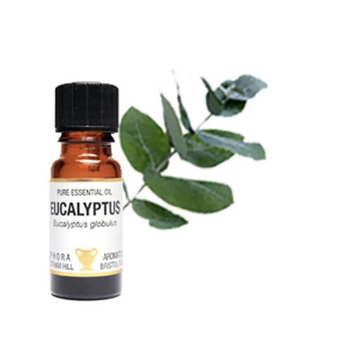 The Apollo Box Essential Oil Collection