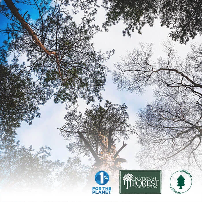 Birch Mattress Reviews - Give Back To The Planet