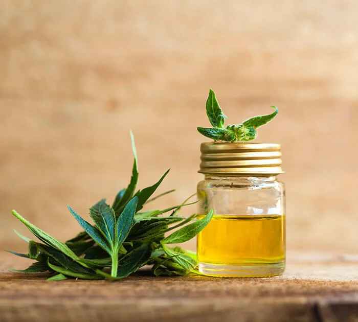 CBD Oil