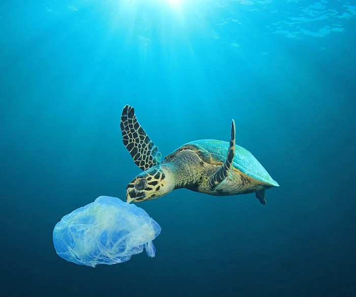 Regenerated Nylon from Recycled Nylon