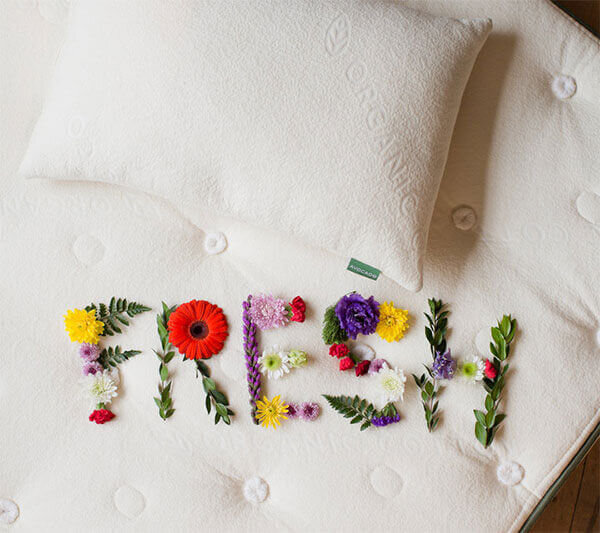 Avocado Organic Cotton and Latex Pillow