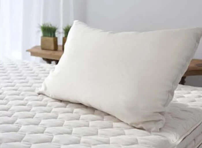 Best Organic Kapok Pillows