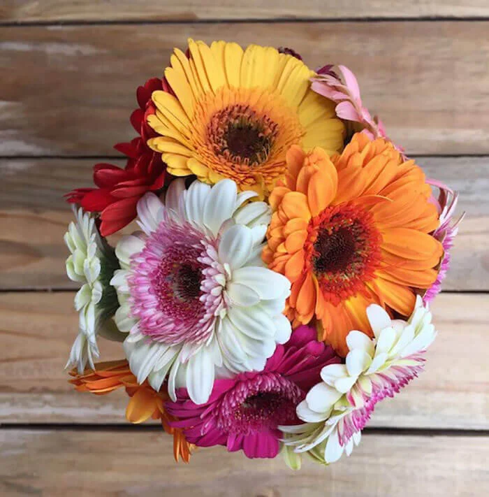 Flower Explosion Flower Arrangements Delivered