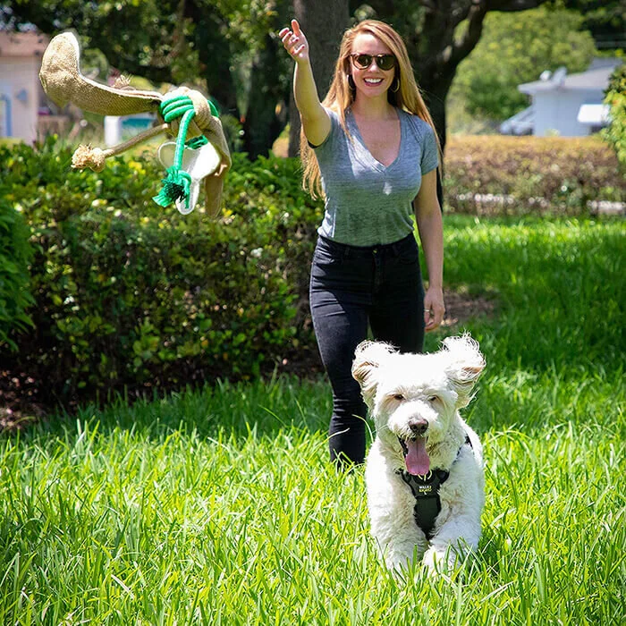 15 Top Rated Natural And Safe Dog Toys