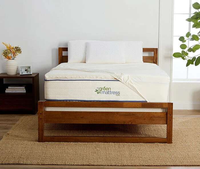 Dunlop Latex Back Sleeper Pillow