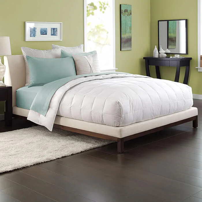 Organic Down Blanket