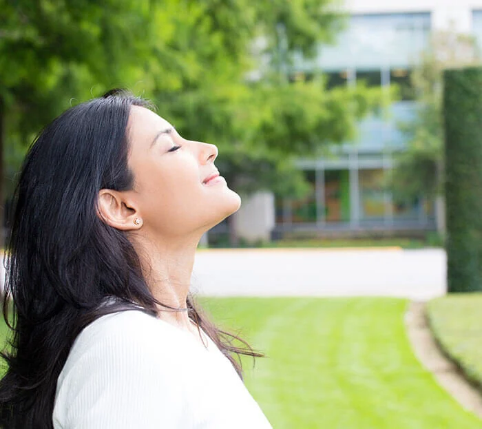 Amerisleep Plant-Based Memory Foam