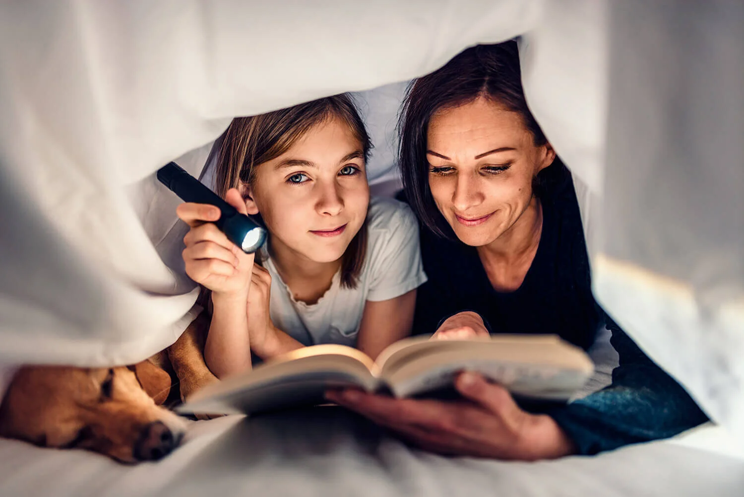 Top AntiAllergy Bedding