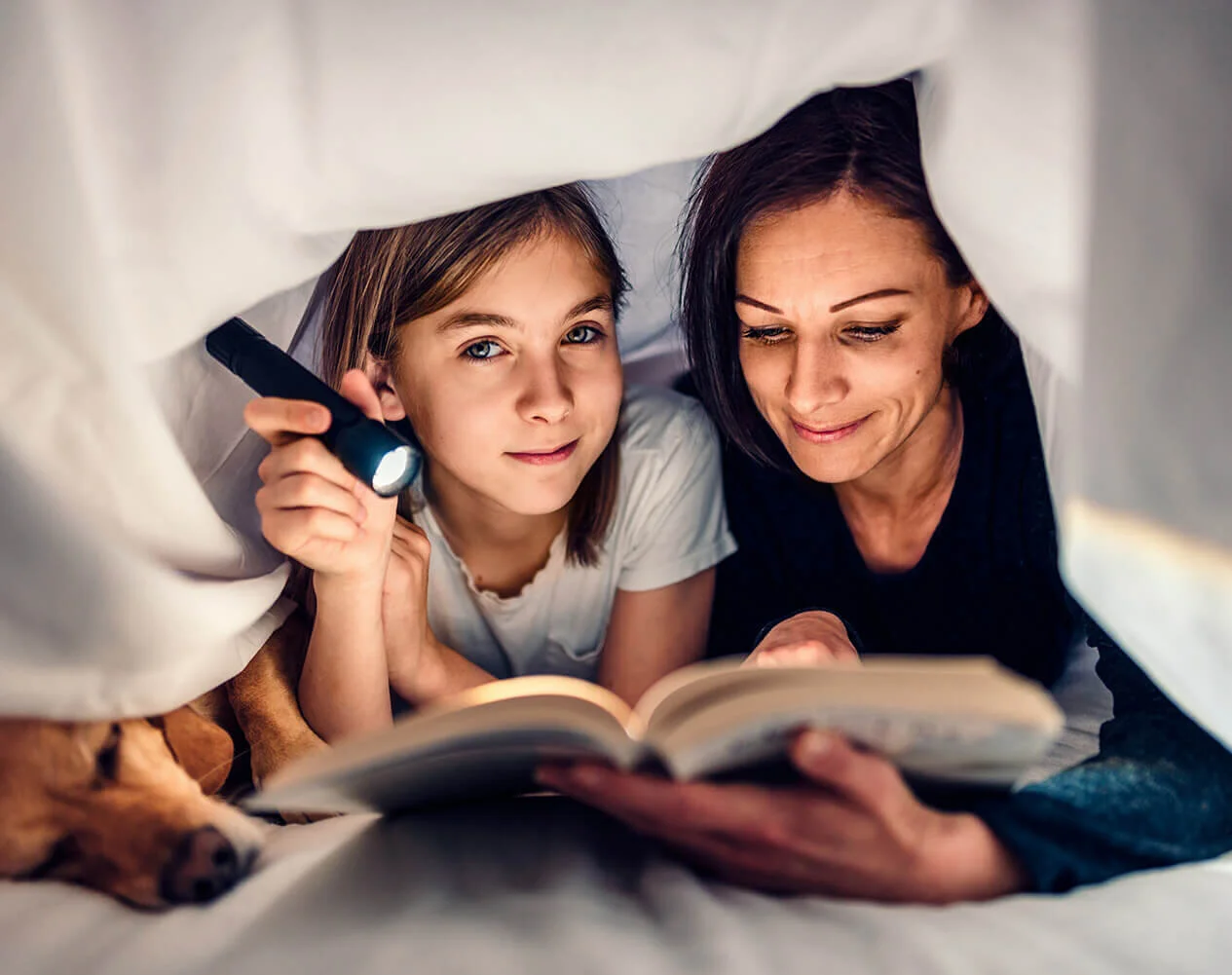 Top Anti-Allergy Bedding