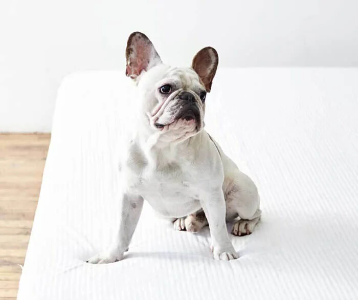 Anti-Allergy Mattress Protector