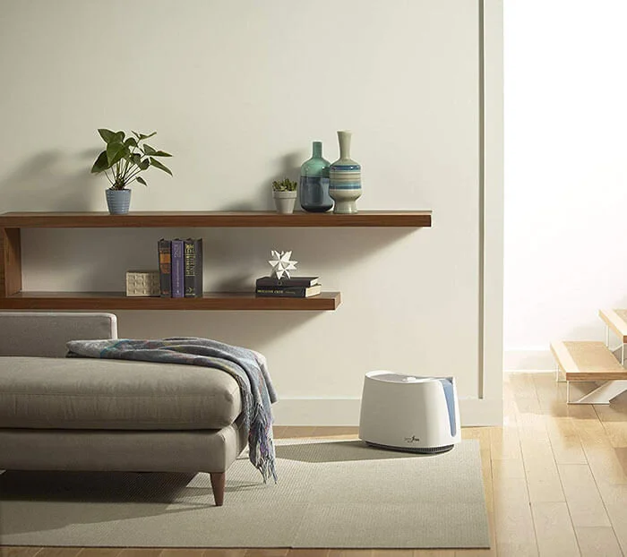 When is allergy season?