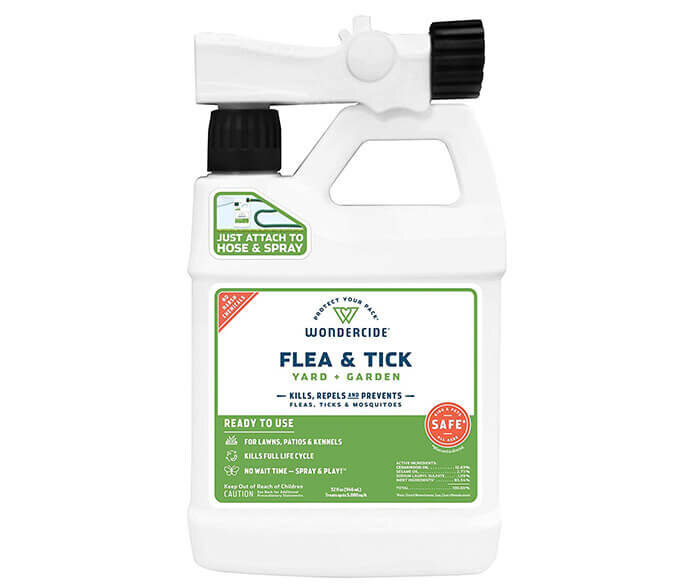 14 Safe and Effective Natural Plant Insecticides That Really Work