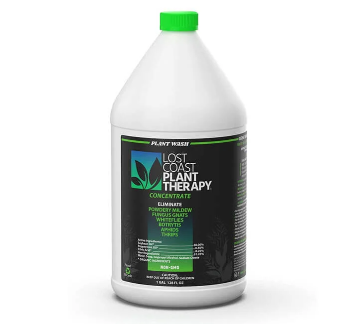 14 Safe and Effective Natural Plant Insecticides That Really Work