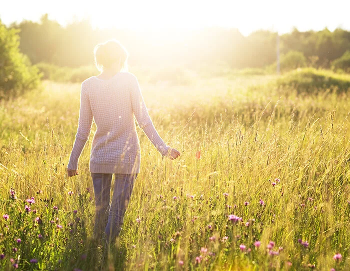 Solar Lighting is Maintenance Free