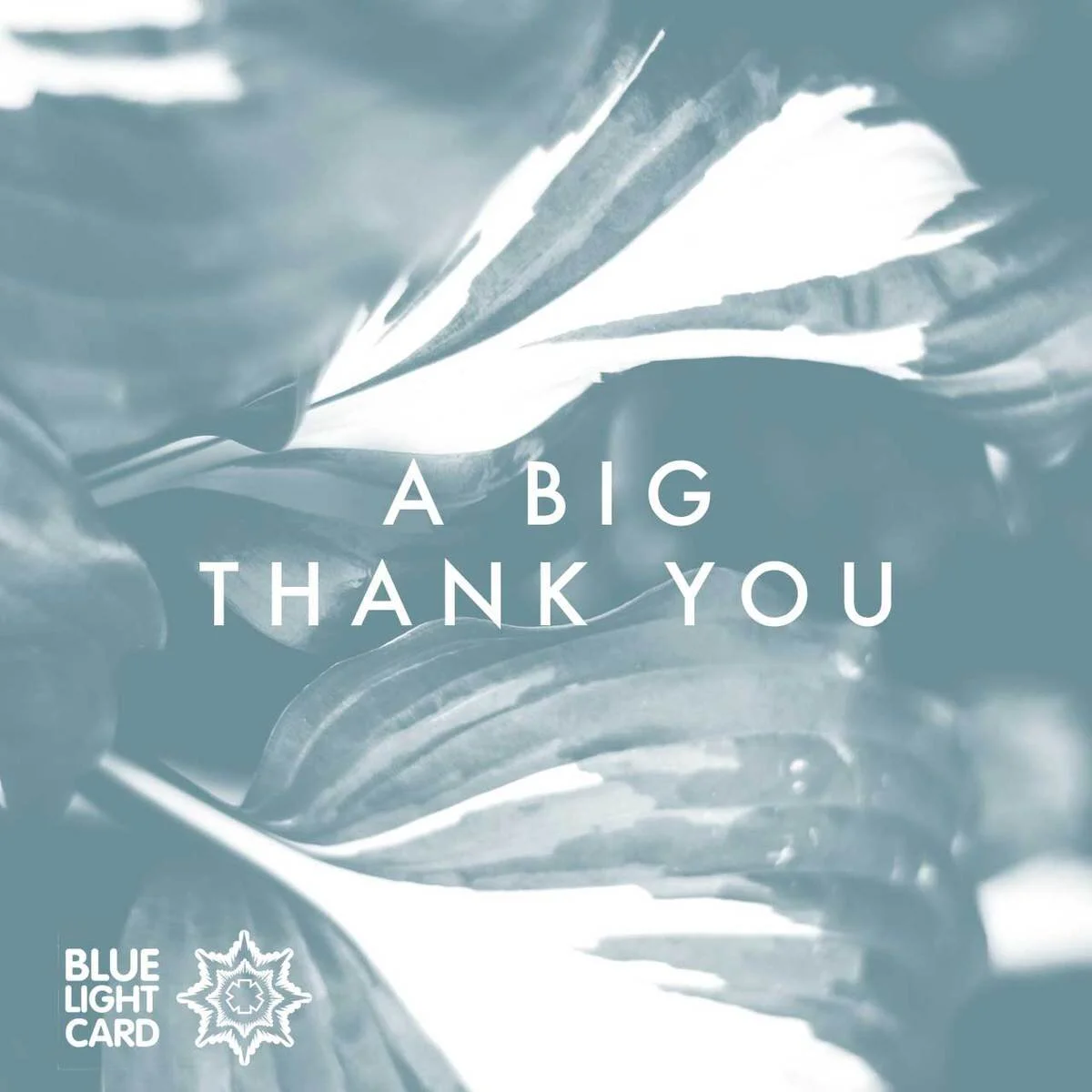 Thought Blue Light Card