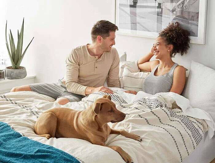 Tea Leaf Dream Mattress Review