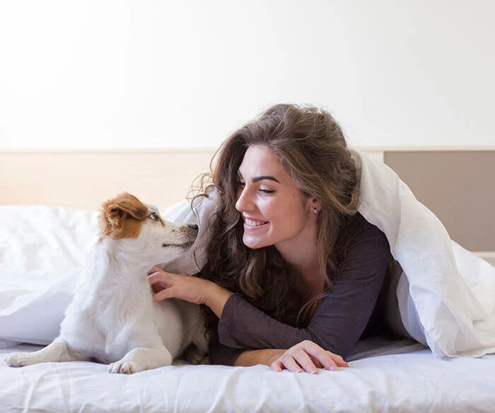 What to look for in bedding