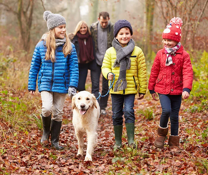 52 Week Savings Suggestions