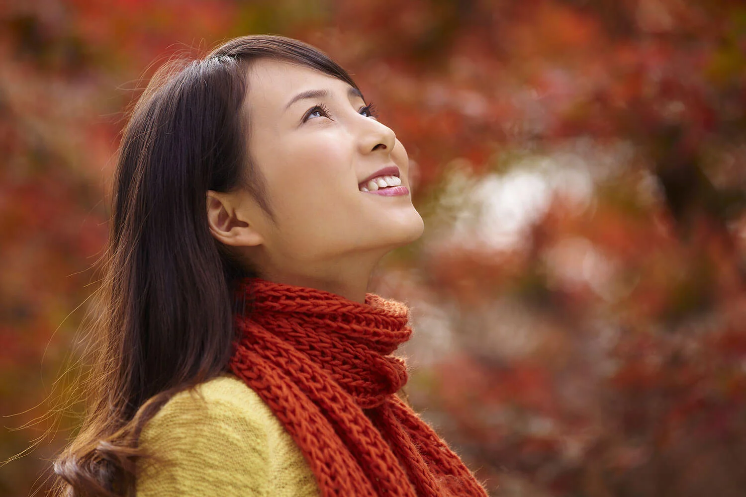 Eco-Friendly Fall Decorations