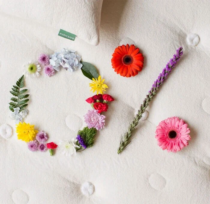 Online Financing For All Natural Latex Mattress