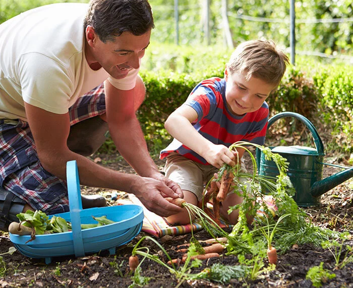 Determine If You Have Enough Space Within Your Garden For Growing Pumpkins