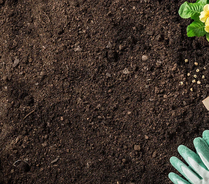 Tip: Fertilize Soil As Needed For A Healthy Pumpkin Patch