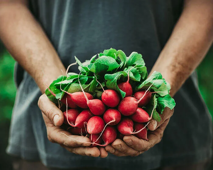 Fall Gardening Mainentance