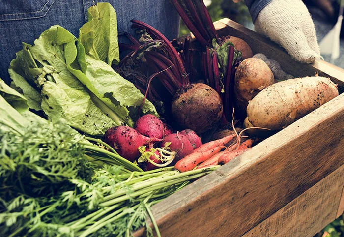 Tip: Put The Garden To Bed