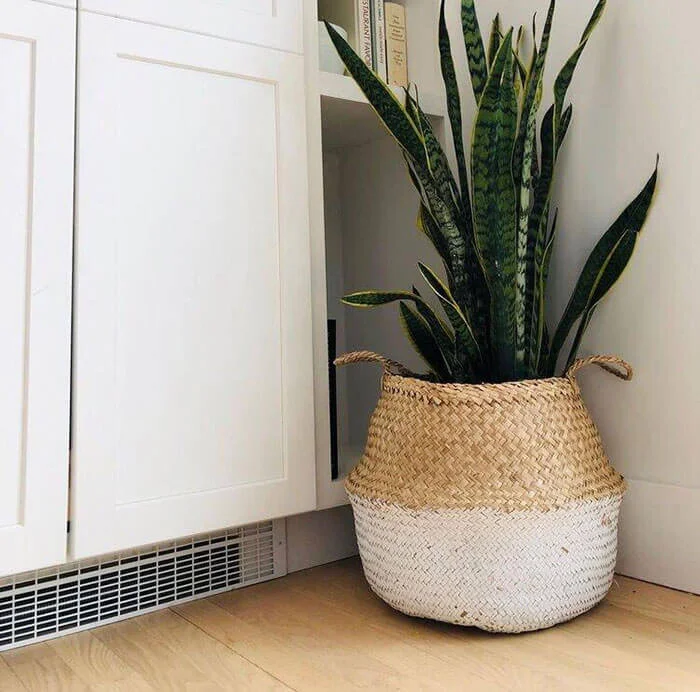 Amante Marketplace Kophinos Basket Vase