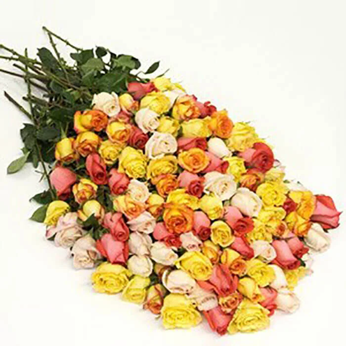 Assorted Fresh Cut Roses