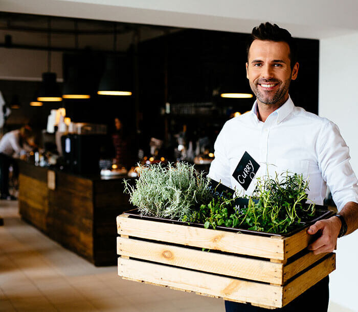 Healthy Foods To Consider: Beans, Legumes and Other Leafy Greens