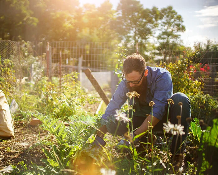 Gardening Tip: Prepare The Soil