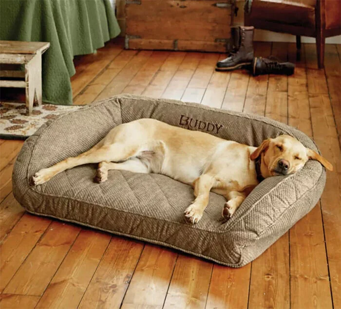 Memory Foam Bolster Dog Bed