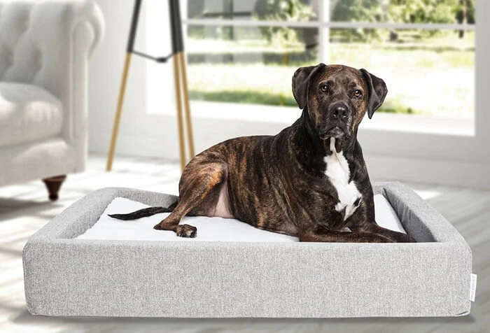 Affordable Pet Dog Bed