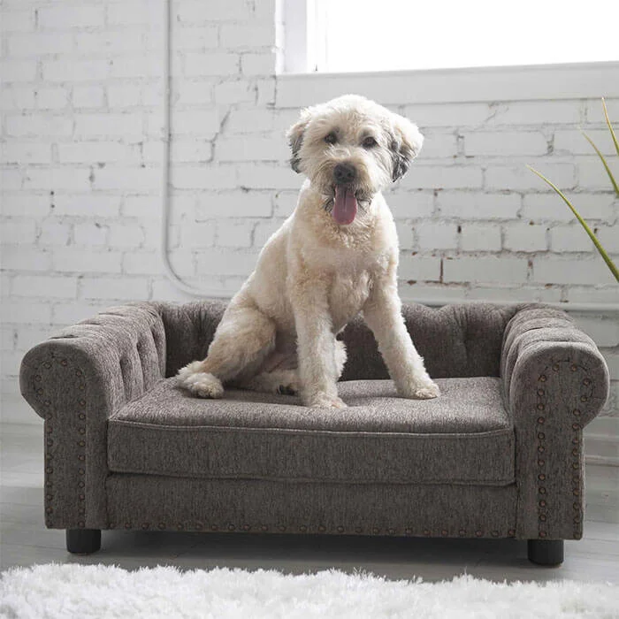 Newton Sofa Dog Bed