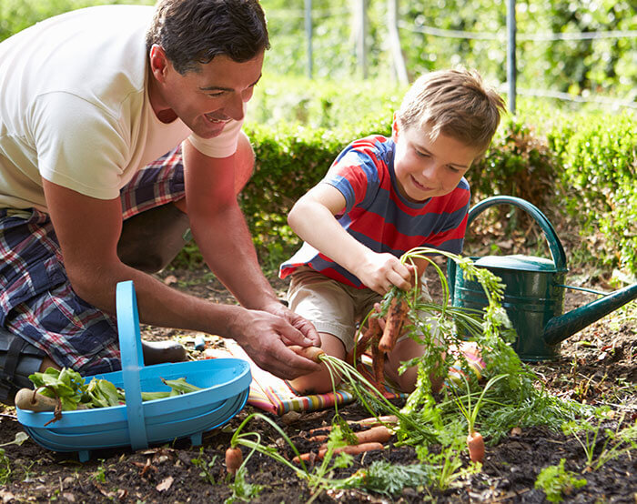 Gardening 101: Ensure Seeds are Toasty