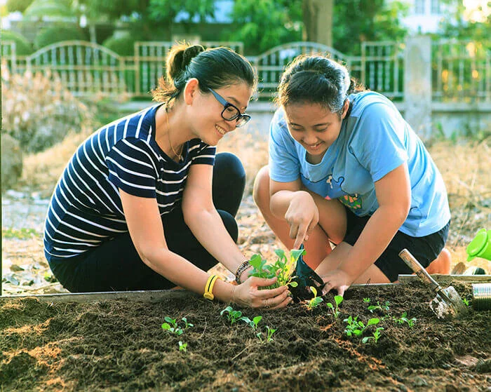 Seedlings Gardening Tips: Promote Good Airflow and Drainage