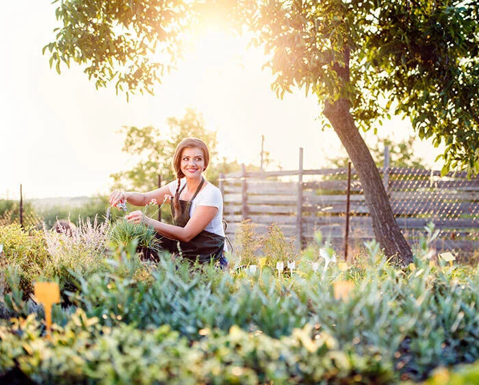 Gardening Pros Advice: Tamp Down Your Seeds