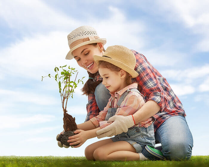 Store seeds properly to maintain visibility