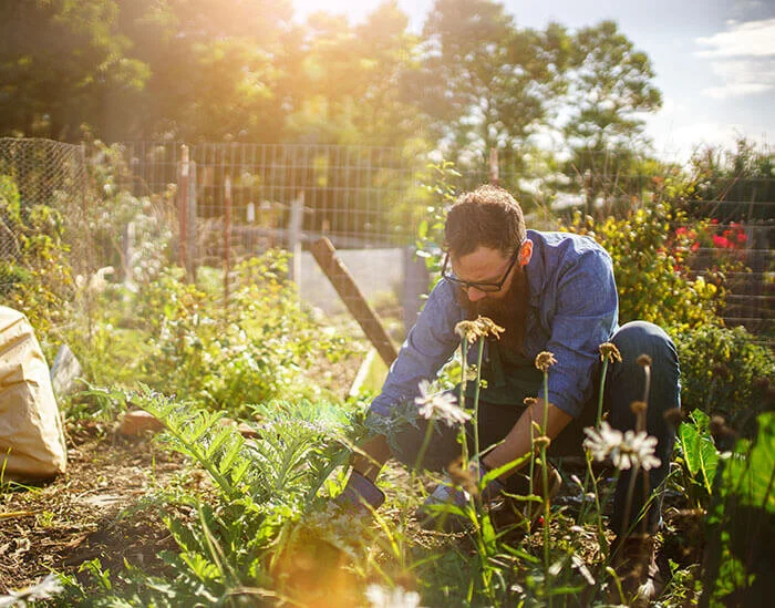 Seedlings and Gardening Tips: Keep Records To Ensure Better Results