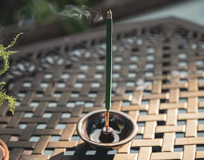 All-Natural Mosquito Repellent Recommended Backyard Accessory