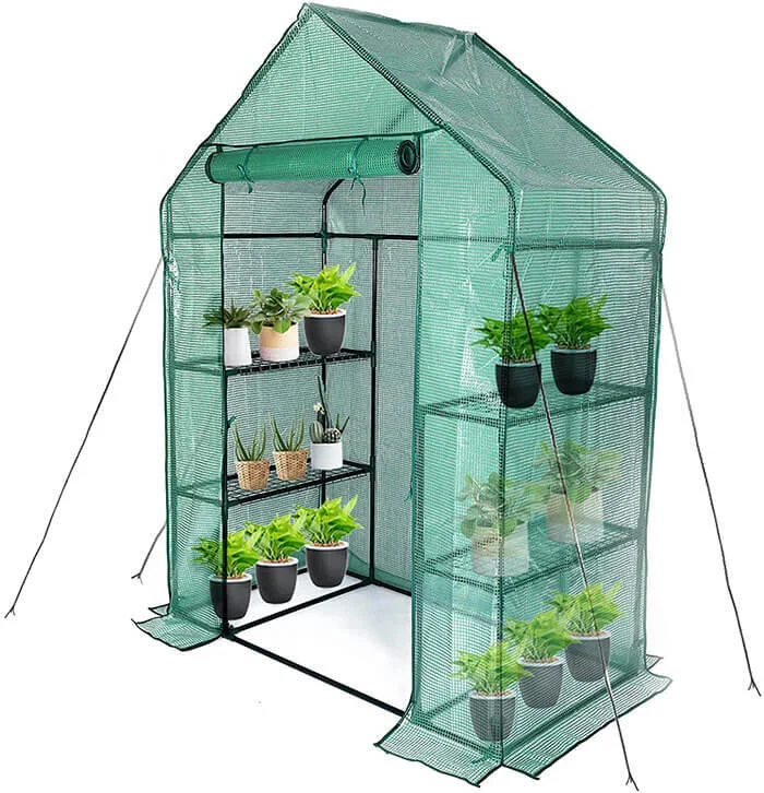 Mini Greenhouse Backyard Accessory