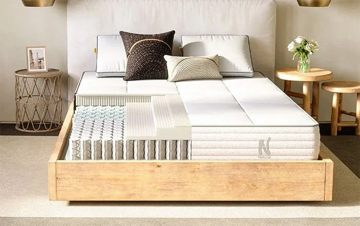 What's Inside The Mattress?