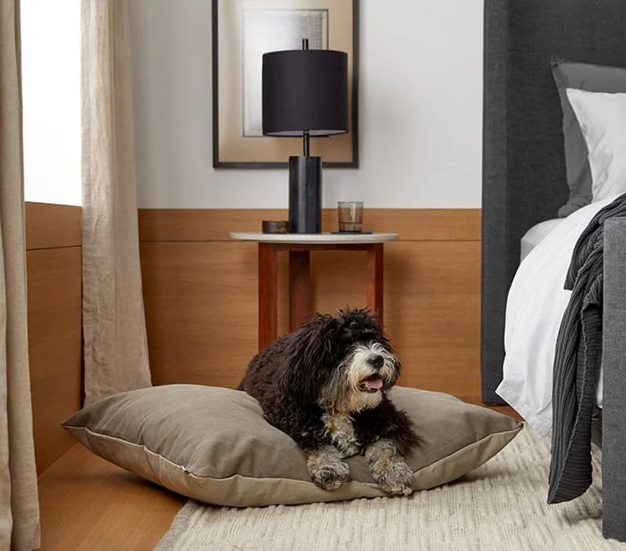 Canvas Dog Bed
