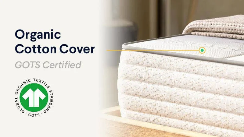 Organic Cotton Cover Mattress