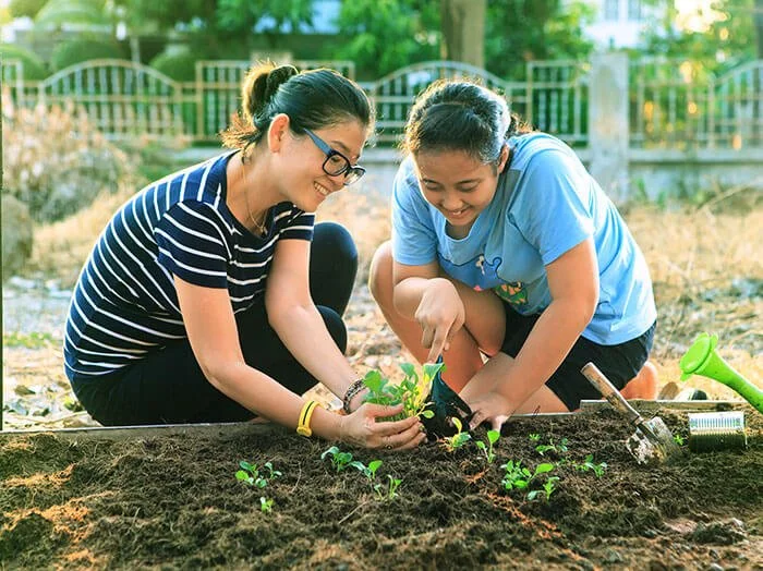 Eco-Friendly Lifestyle Changes: Start your own garden